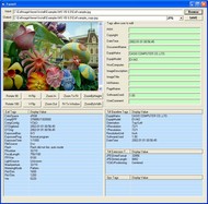 GOGO Exif Image Viewer ActiveX Control screenshot